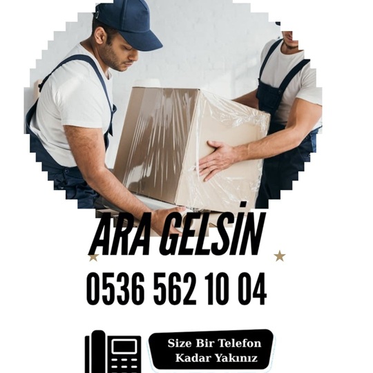 Bir Günlük Hamal Arıyorum