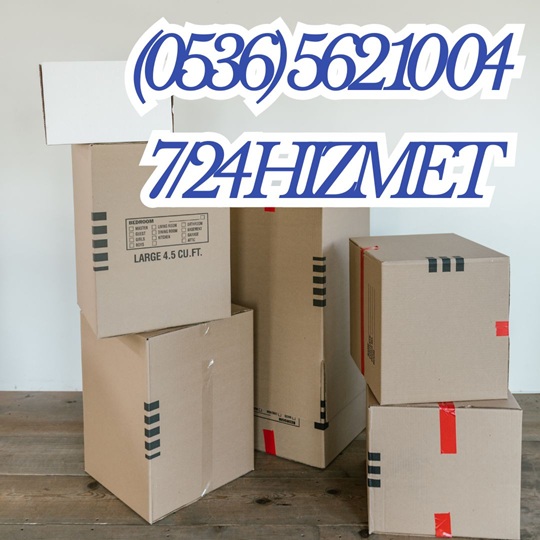 Riva Hamal Arıyorum